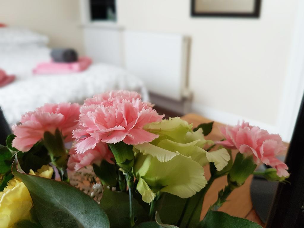 Alara Bed And Breakfast Sheffield Dış mekan fotoğraf